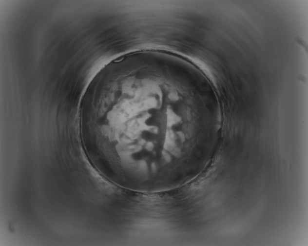 X0000093240911200710031600