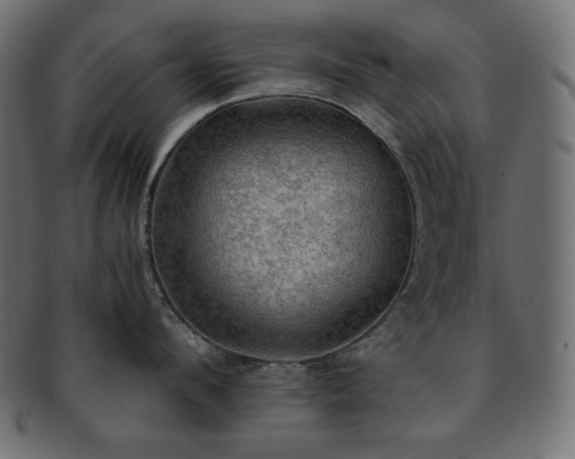 X0000093240912200710031600