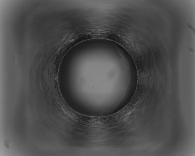 X0000093240913200710031559