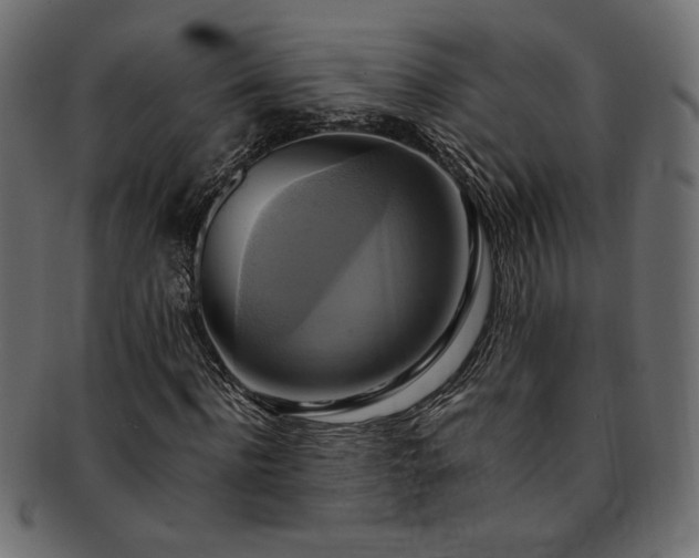 X0000093240916200710031559