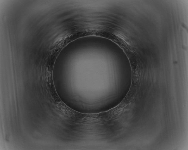 X0000093240917200710031559