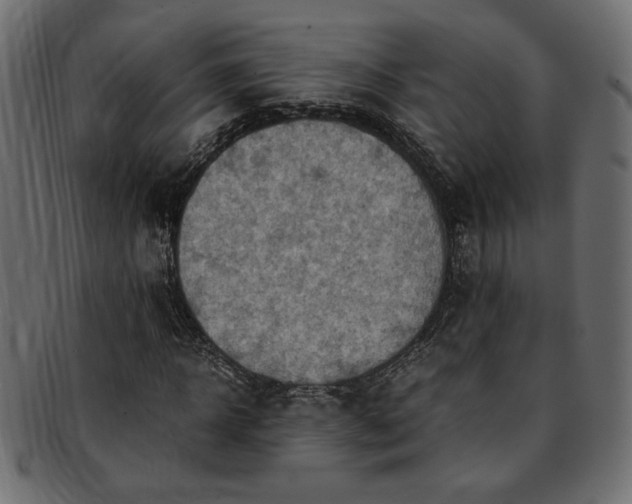 X0000093240918200710031559