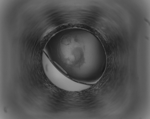 X0000093240919200710031559