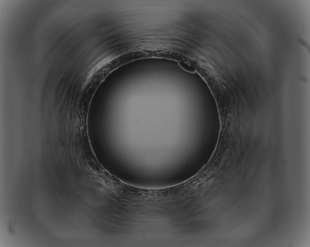 X0000093240920200710031559