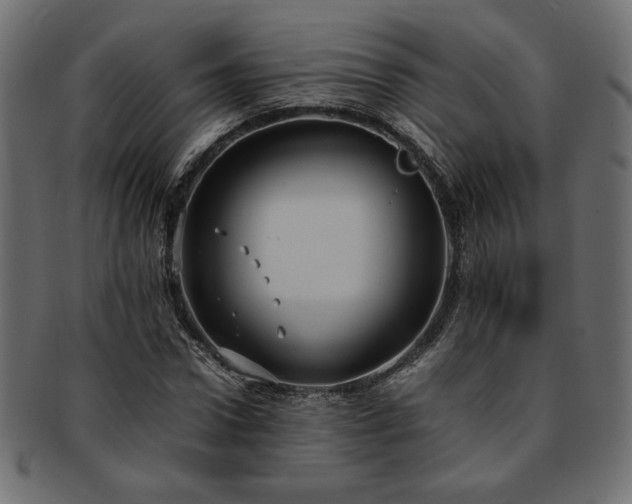 X0000093240922200710031559