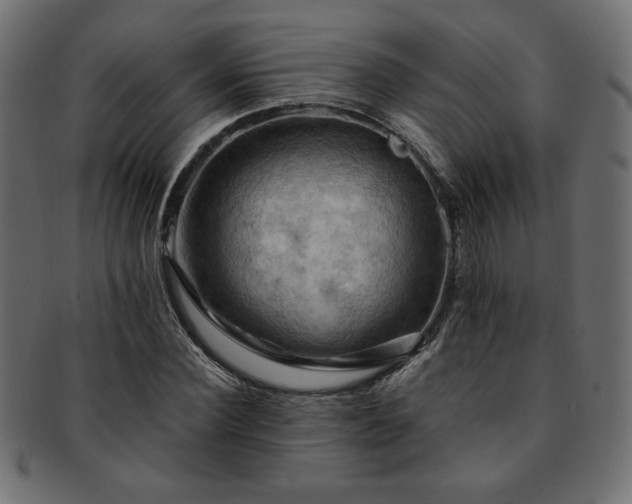 X0000093240924200710031559