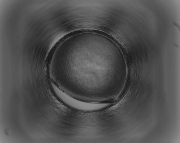 X0000093240926200710031559
