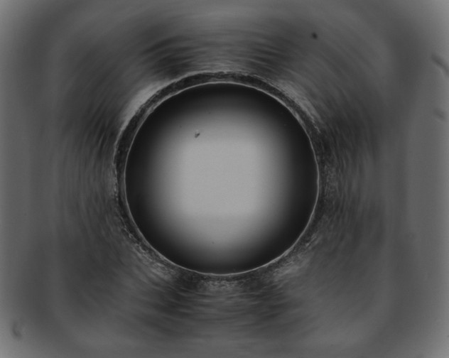 X0000093240927200710031559