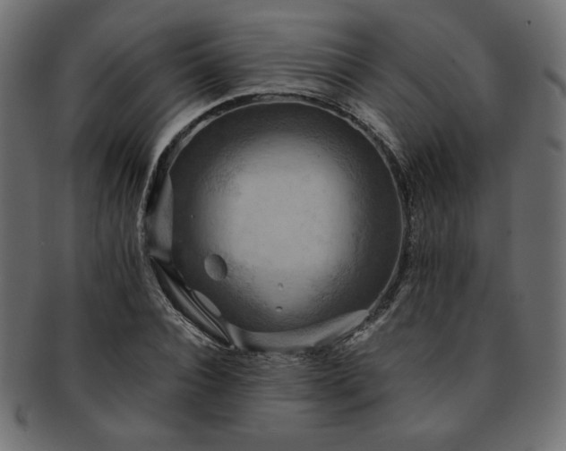 X0000093240928200710031559