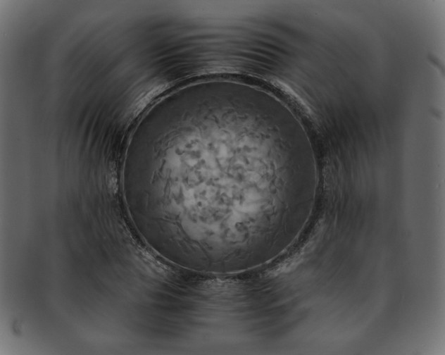 X0000093240929200710031559
