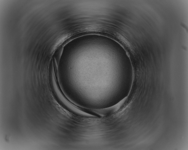 X0000093240930200710031559