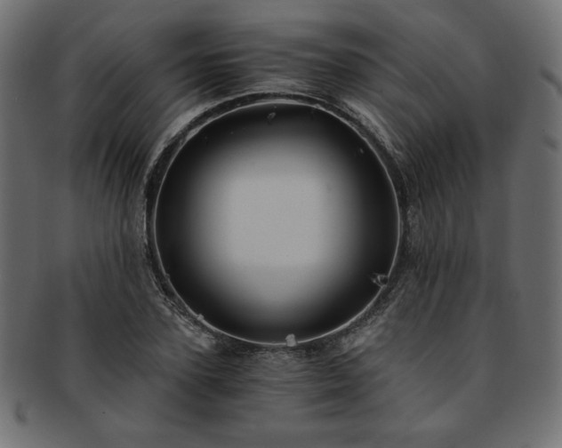 X0000093240931200710031559