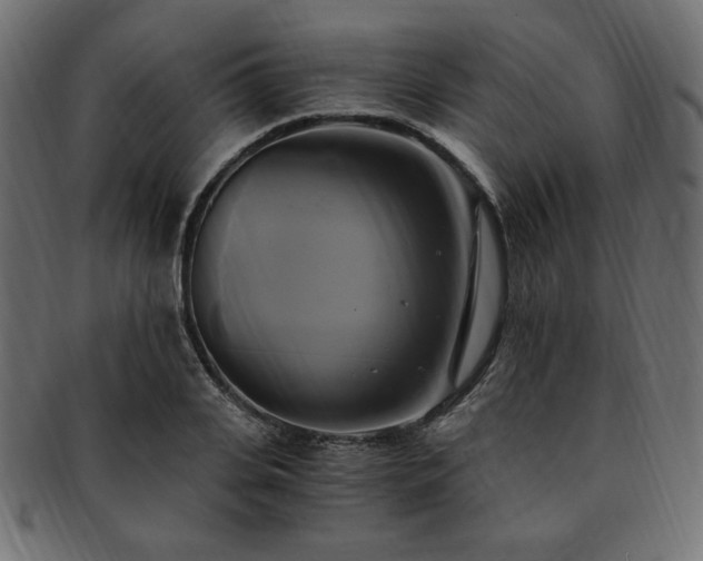 X0000093240935200710031559