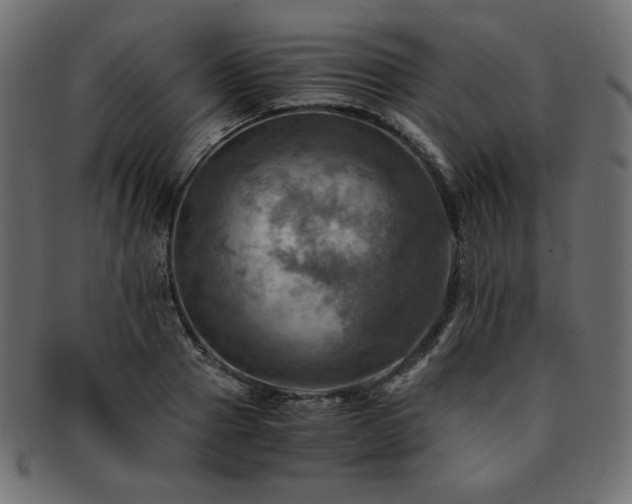 X0000093240937200710031559