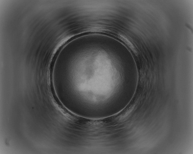X0000093240939200710031559
