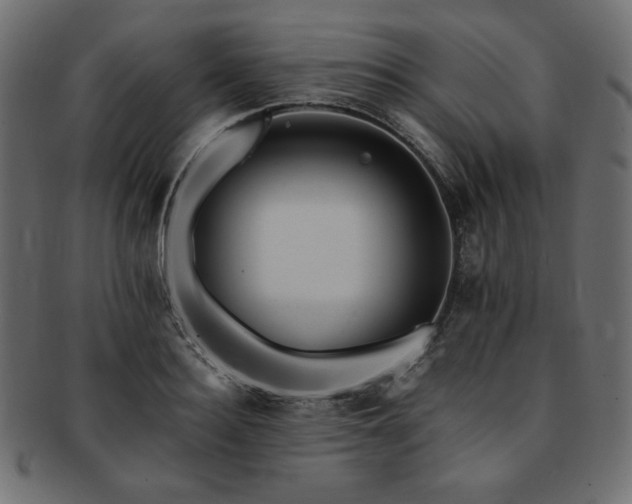 X0000093240940200710031559