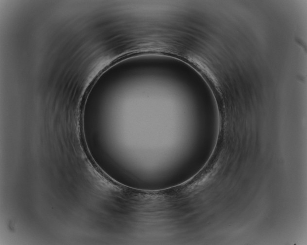 X0000093240941200710031559