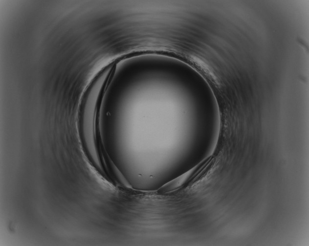 X0000093240942200710031559