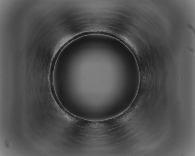 X0000093240943200710031559