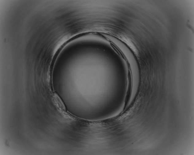 X0000093240944200710031559