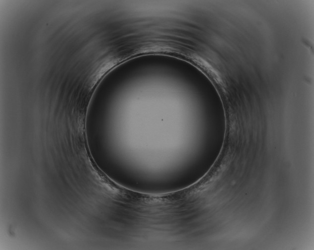 X0000093240945200710031559