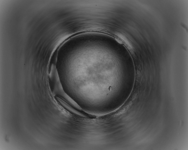 X0000093240948200710031559