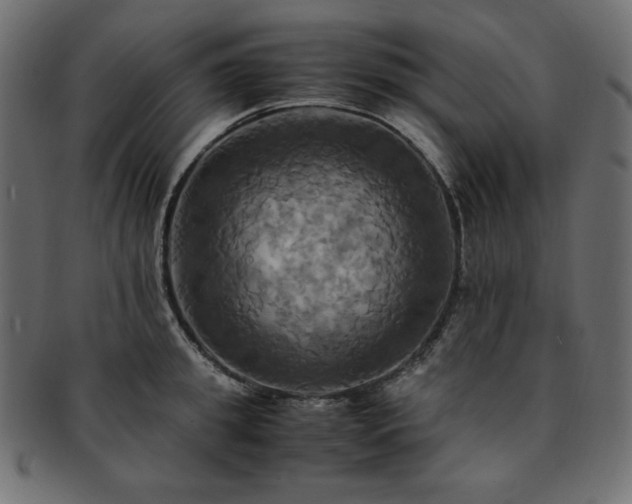 X0000093240949200710031559