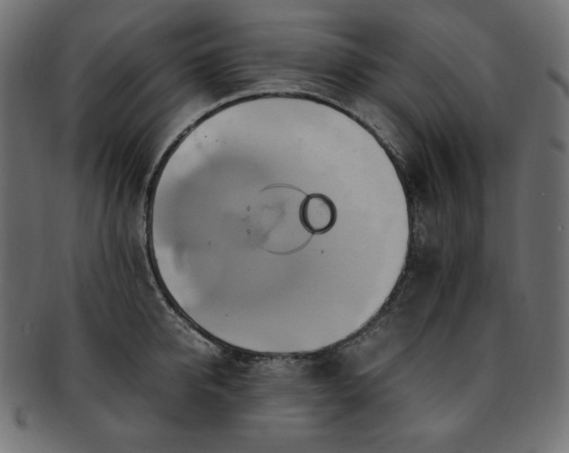 X0000093240950200710031559
