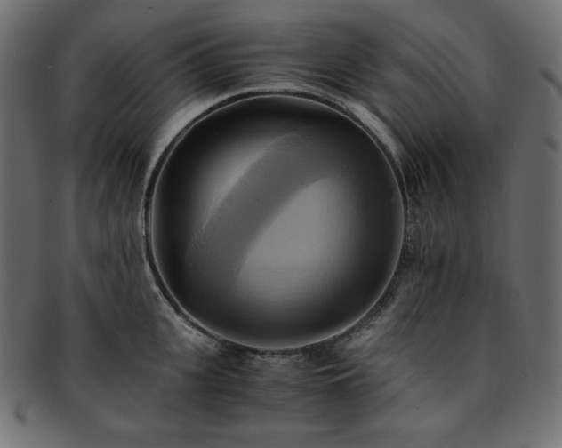 X0000093240951200710031559