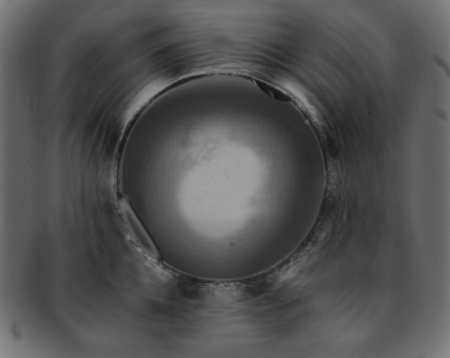 X0000093240952200710031559
