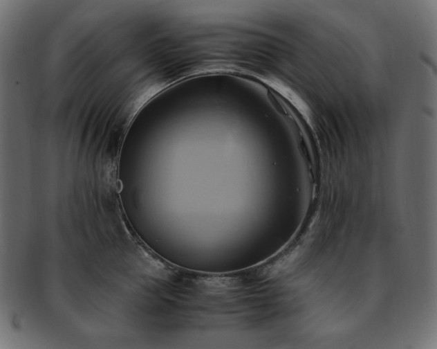 X0000093240953200710031559