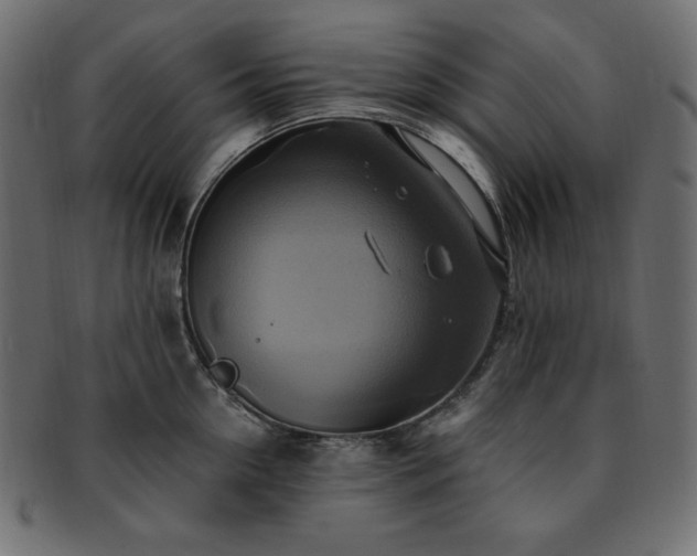X0000093240954200710031559