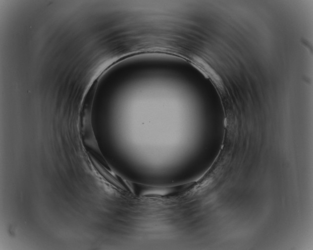 X0000093240956200710031559