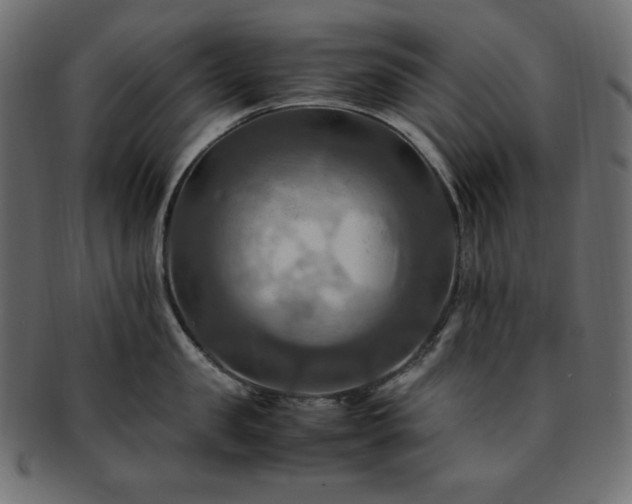 X0000093240957200710031559