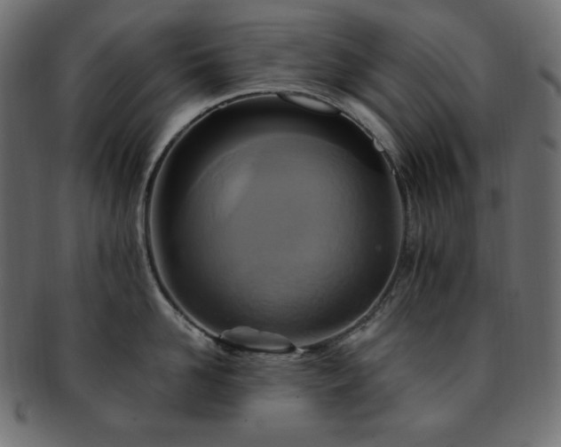 X0000093240958200710031559