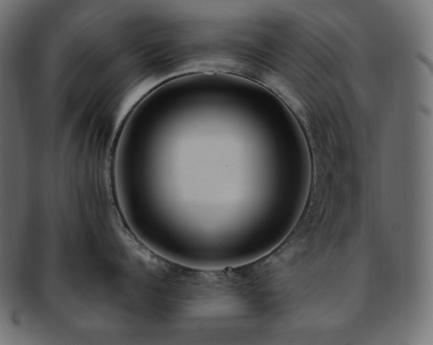 X0000093240960200710031600