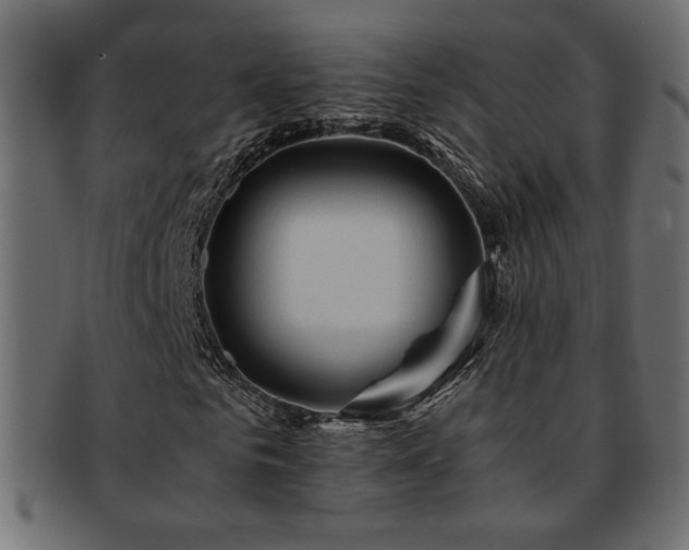 X0000093240961200710031559