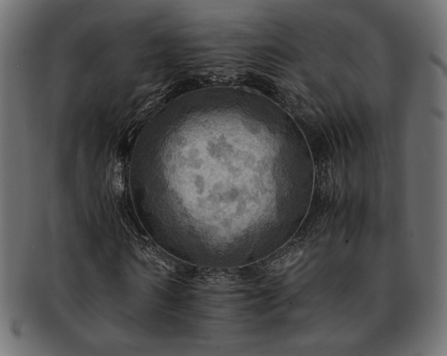 X0000093240962200710031559