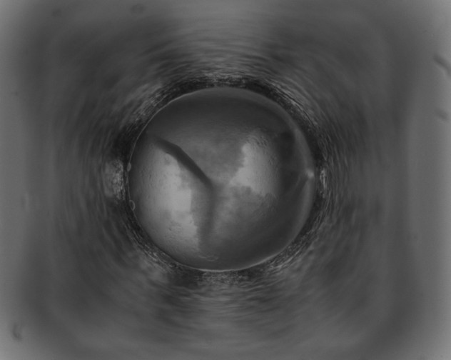 X0000093240963200710031559