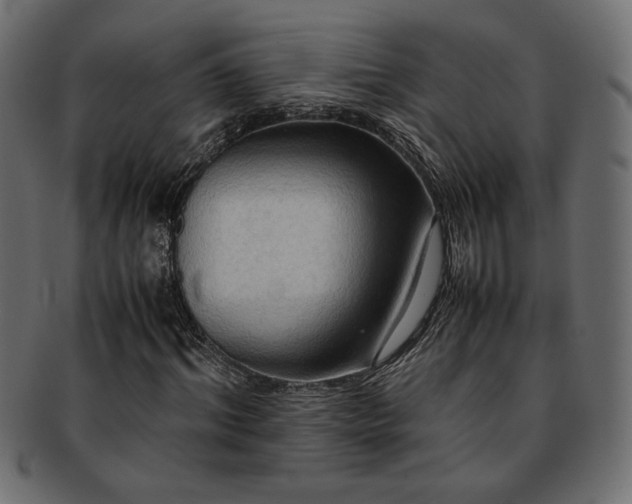 X0000093240964200710031559