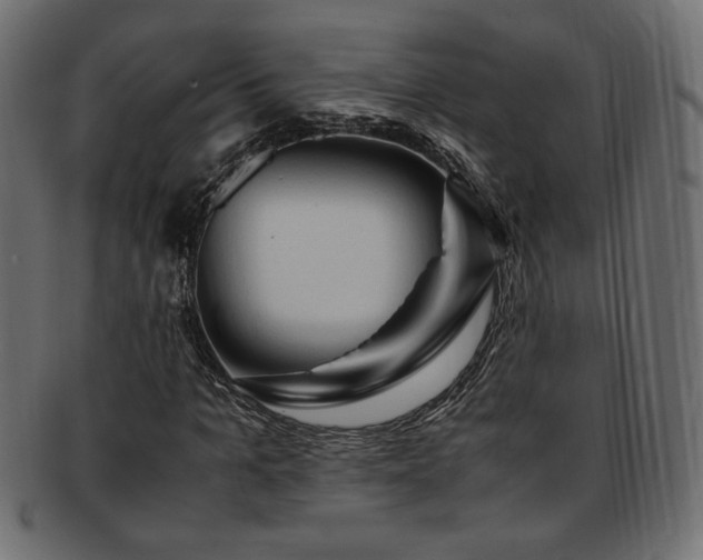 X0000093240965200710031559