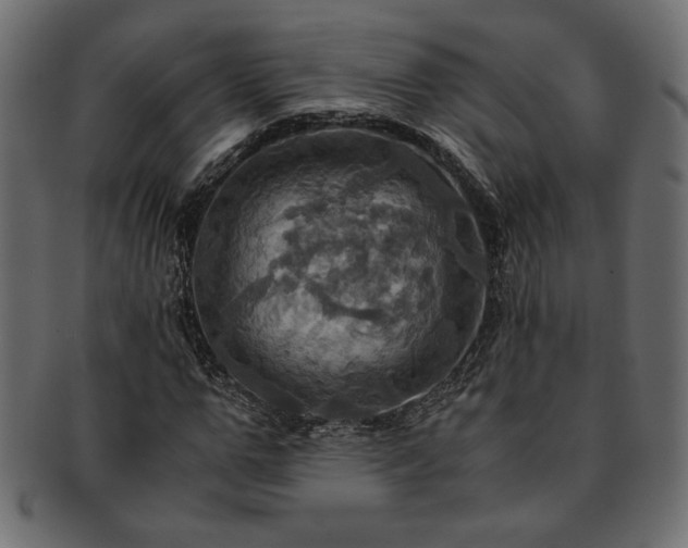 X0000093240967200710031559