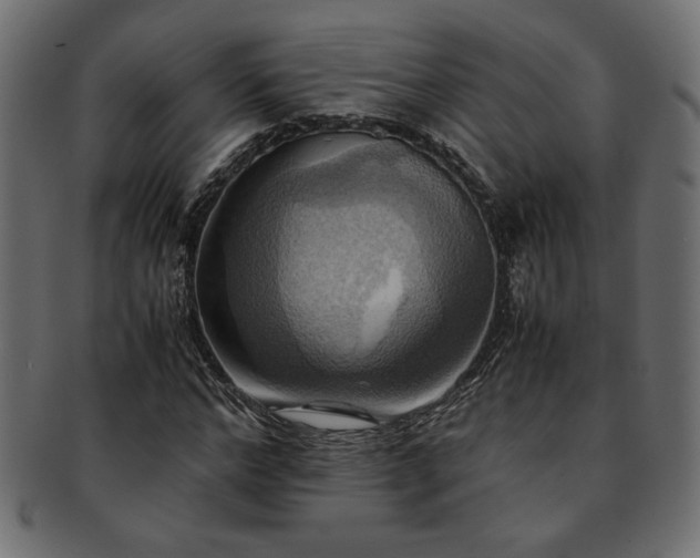 X0000093240968200710031559