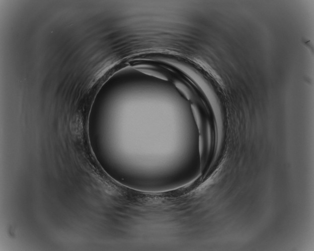 X0000093240969200710031559