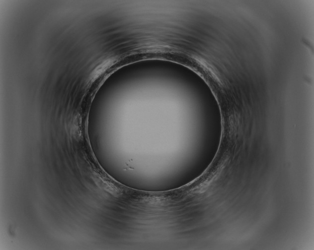 X0000093240970200710031559