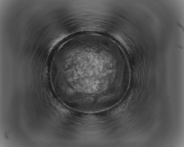 X0000093240971200710031559