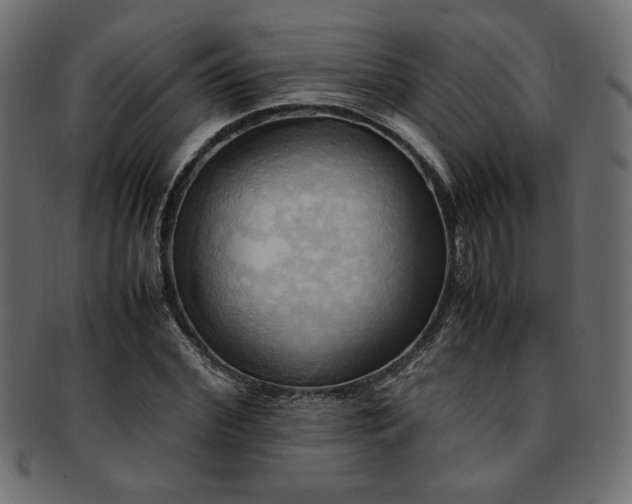 X0000093240972200710031559
