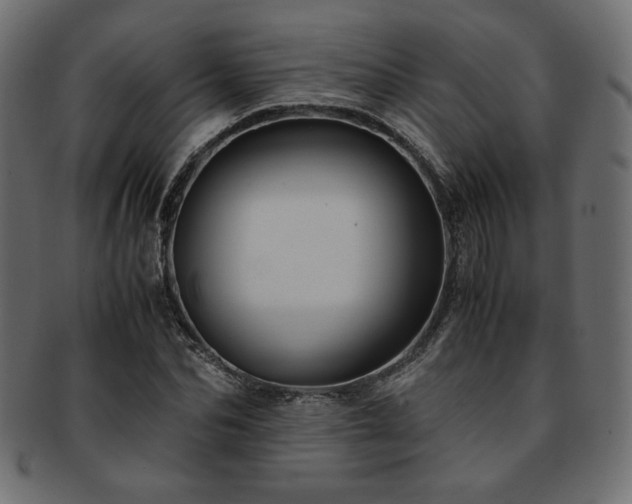 X0000093240974200710031559