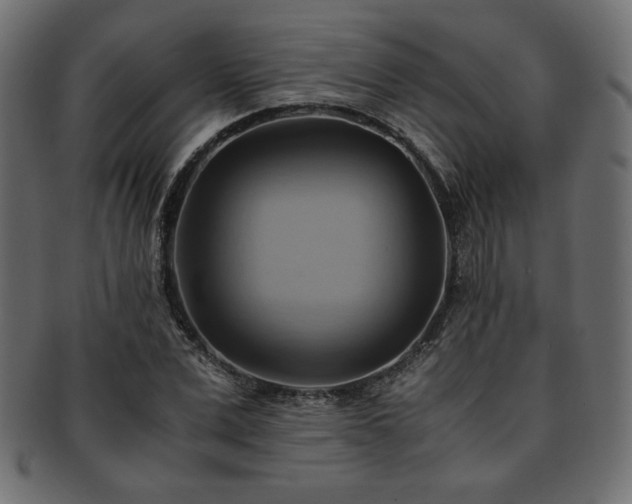 X0000093240975200710031559