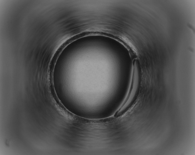 X0000093240976200710031559